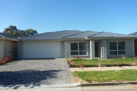 6 Fleet St, Hampstead Gardens, SA 5086