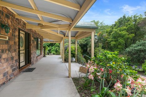 Property photo of 46 Mango Vale Court Diddillibah QLD 4559