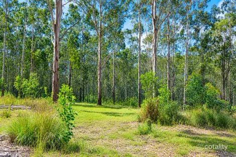 Property photo of LOT 1 Mud Flat Road Drake NSW 2469