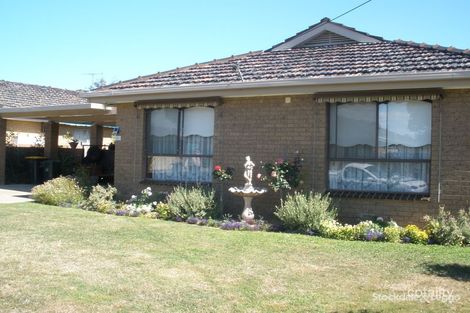 Property photo of 41 Franklin Street Wangaratta VIC 3677
