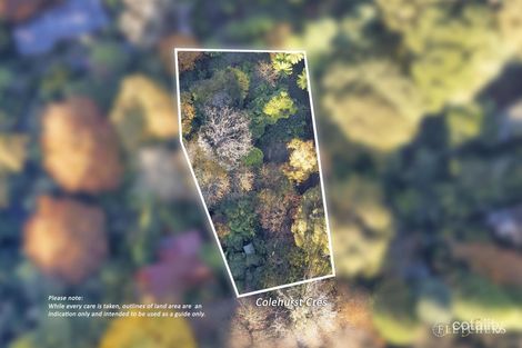 6 Colehurst Cres, Sassafras, VIC 3787