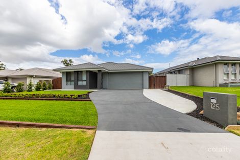 Property photo of 125 Sunningdale Circuit Medowie NSW 2318