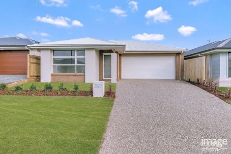 Property photo of 25 Newburgh Street Thornlands QLD 4164