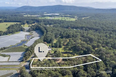 Property photo of 324 Bucca Road Bucca NSW 2450
