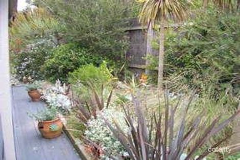 Property photo of 37 Russell Avenue Anglesea VIC 3230