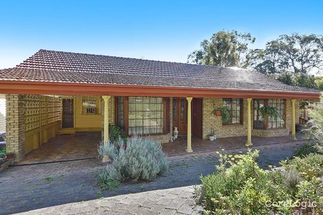 Property photo of 23 Dunbar Close Normanhurst NSW 2076