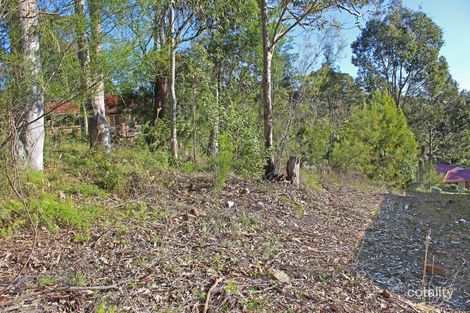 3 Osprey Pl, Surfside, NSW 2536