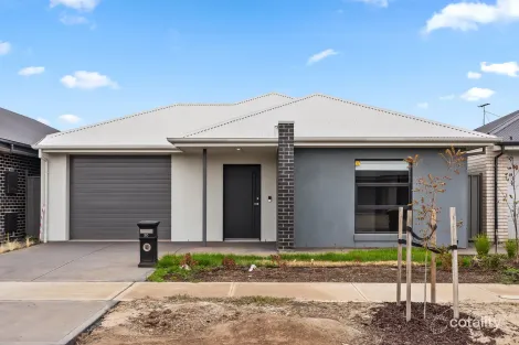 20 Clonlara Cct, Virginia, SA 5120