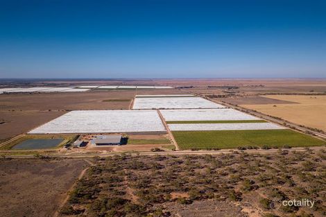 615 Fifth St, Merbein West, VIC 3505