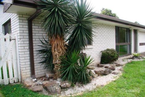 17 Terrigal Cres, Southport, QLD 4215