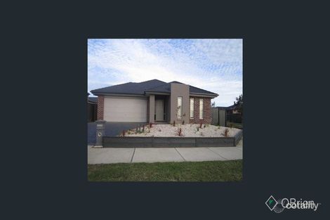 49 Selandra Bvd, Clyde North, VIC 3978