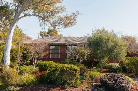 49 Harbison Cres, Wanniassa, ACT 2903
