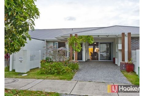 14 Hinchinbrook Ave, Fitzgibbon, QLD 4018