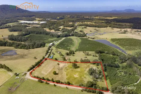 481 South Bank Rd, Tamban, NSW 2441