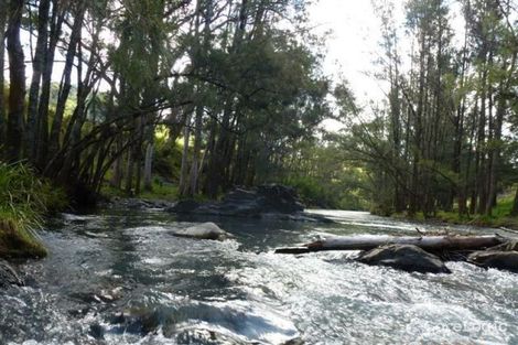 Property photo of 2377 Scone Road Cobark NSW 2422