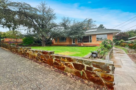 66 Park Ave, Rosslyn Park, SA 5072