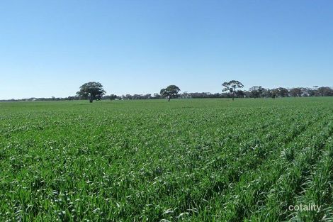 1295 Ozenkadnook-Mortat Rd, Peronne, VIC 3413