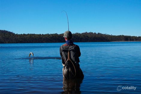 19 Bronte Estate Rd, Bronte Park, TAS 7140