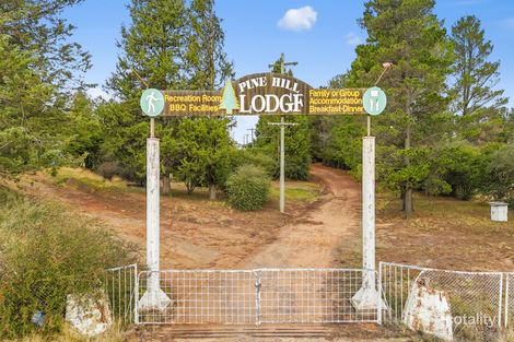 699 Snowy Mountains Hwy, Pine Valley, NSW 2630