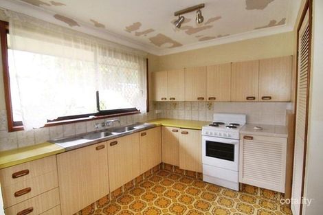 Property photo of 13 Theodore Place Molendinar QLD 4214