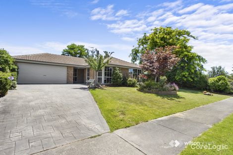 Property photo of 17 Stirling Avenue Traralgon VIC 3844