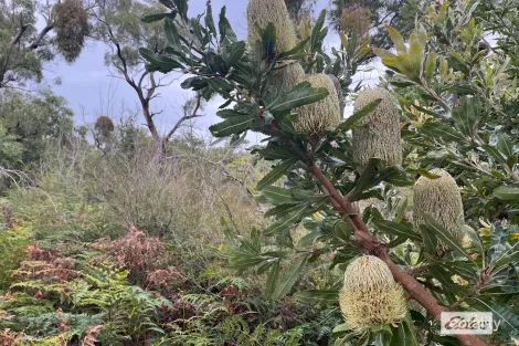 Giffard Rd, Giffard, VIC 3851