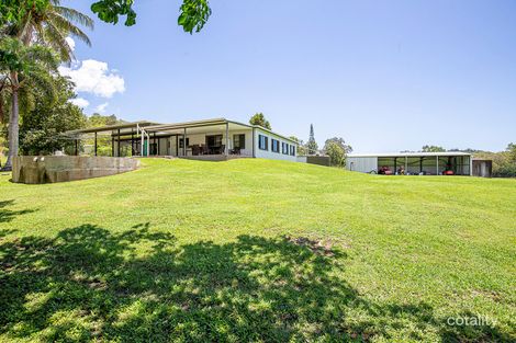 Property photo of 131 Andrew Fordyce Road Mount Jukes QLD 4740