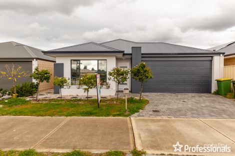 100 Verdant Cres, Seville Grove, WA 6112