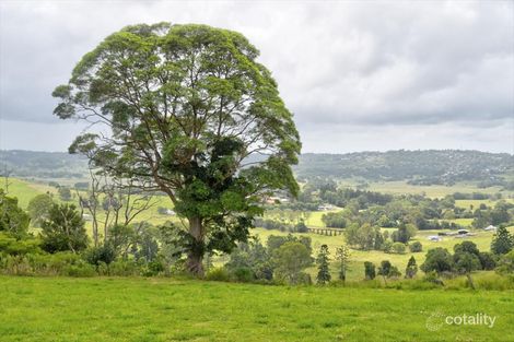 Property photo of 366 Dunoon Road Tullera NSW 2480