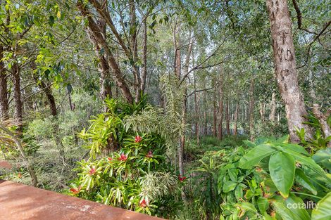 Property photo of 23 Silkwood Drive Noosaville QLD 4566