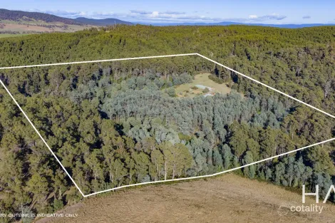 2235 Pipers River Rd, Pipers River, TAS 7252