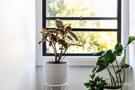 Property photo of 36 Caledonia Street Paddington NSW 2021