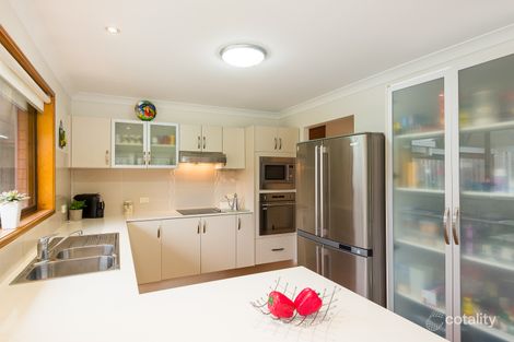 Property photo of 19 Takitimu Street Aspley QLD 4034