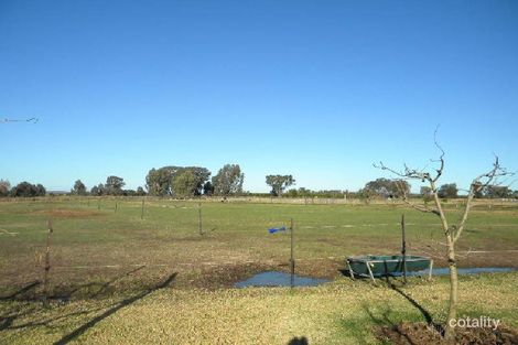 Property photo of 350 Petersham Road Leeton NSW 2705