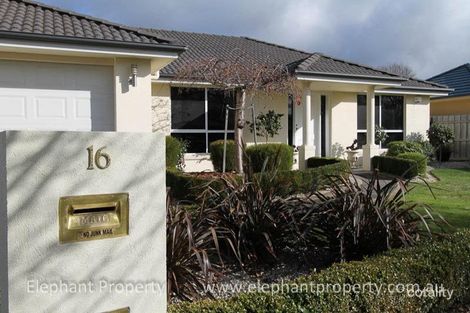 16 Landsborough Ave, Newstead, TAS 7250