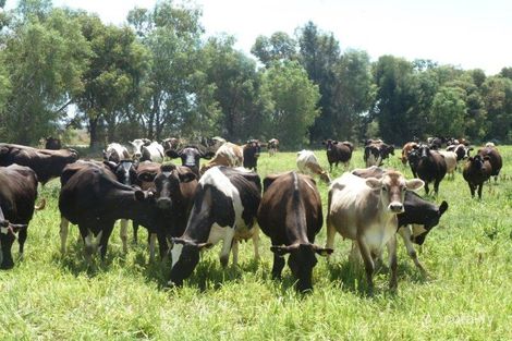 749 Fish Point Rd, Fish Point, VIC 3585