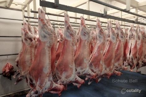 3260 Princes Hwy, Moruya, NSW 2537