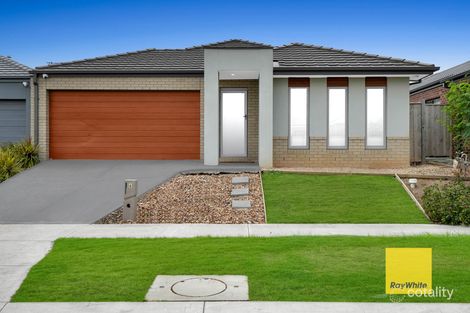 6 Gold St, Tarneit, VIC 3029