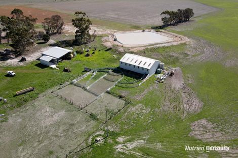 1987 Speddingup Rd E, Scaddan, WA 6447