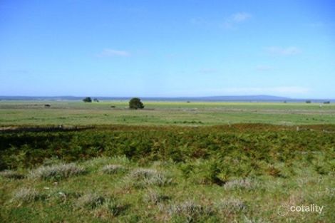 30455 Princes Hwy, Millicent, SA 5280