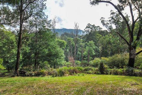 Property photo of 77 Priors Road The Patch VIC 3792