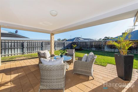 Property photo of 14 Dichondra Pass Halls Head WA 6210