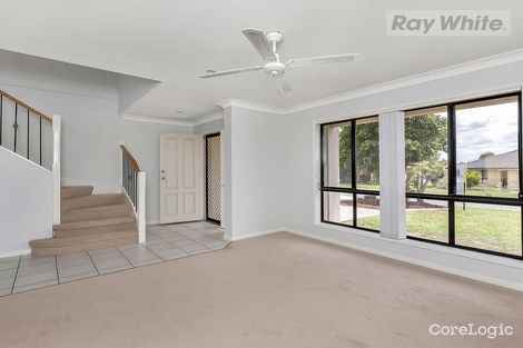 Property photo of 8 Amie Place Raceview QLD 4305