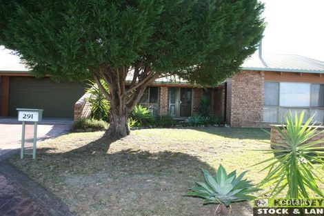 291 River St, Greenhill, NSW 2440