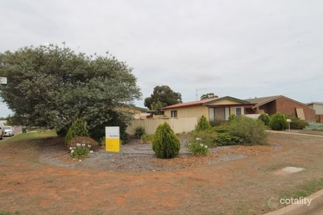 Property photo of 25 East Terrace Cleve SA 5640