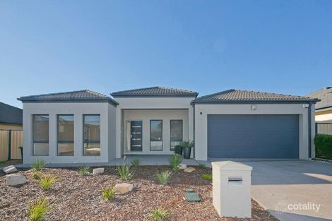 Property photo of 14 Swain Street Gungahlin ACT 2912