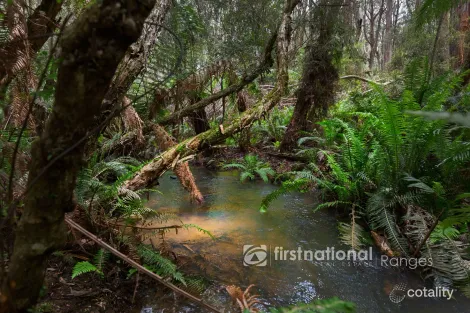 Property photo of 171 Stewart Road Emerald VIC 3782