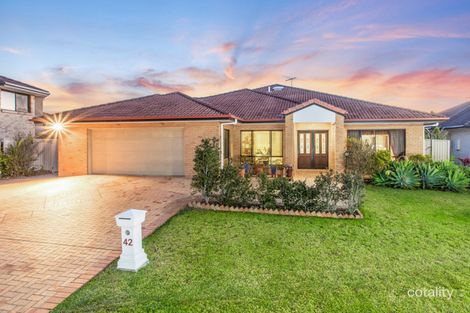 Property photo of 42 Dannenberg Street Carseldine QLD 4034