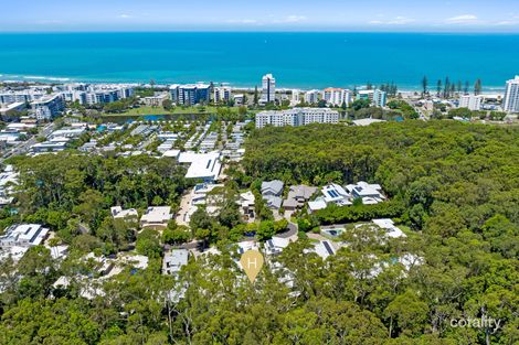 Property photo of 2/12 Tranquil Place Alexandra Headland QLD 4572