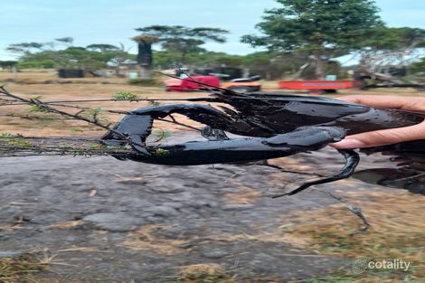 Property photo of LOT 104 Tammar Terrace Crowea WA 6262